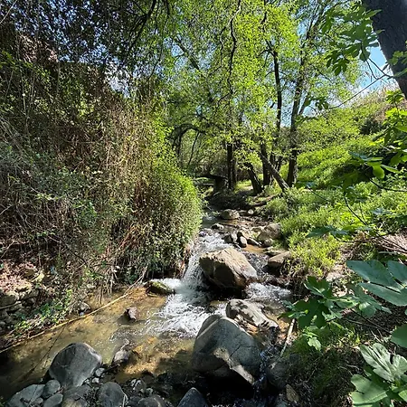 Elena 1b, Center, Pool, Walk To The