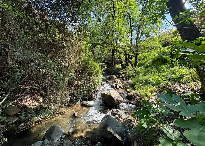 Elena 1b, Center, Pool, Walk To The